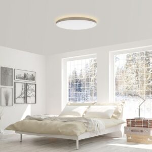 Yeelight Halo Ceiling Light YLXD50YL 1